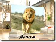 Afrika Fototapete