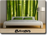 Bambus Fototapete